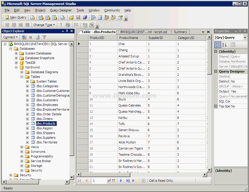 Northwind Database 2008 Free Download