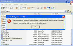 It is being used by another person or program