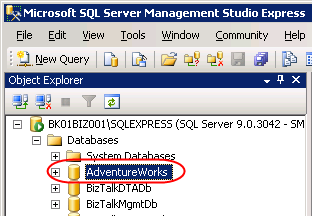 The restored database on SQL Server 2005