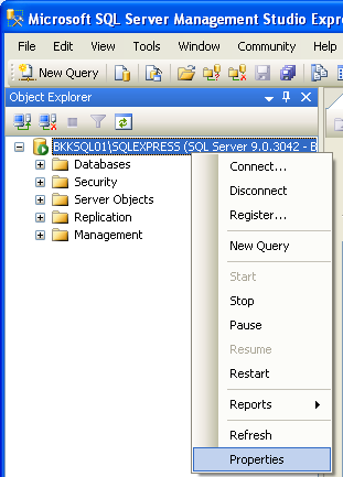 Open SQL Server Properties