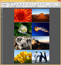 Images2PDF - Output file