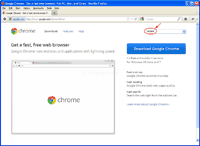 Select Google Chrome (English)