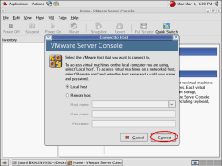 Connect to VMWare Server on localhost