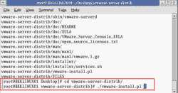 Install VMWare Server on Linux Red Hat - Execute vmware-install.pl