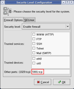 Open TCP port 5901 for remote access