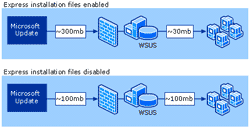 Express Installation file