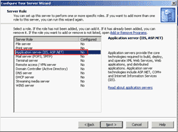 Application server (IIS, ASP.NET)