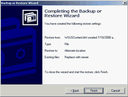 Completing the Backup or Restore Wizard
