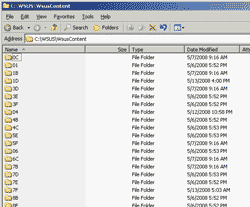 WSUSContent folder