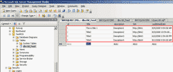 Fill sample data on the table