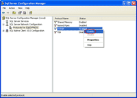 Enable TCP/IP protocol