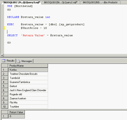 Execute SP Optional Parameters