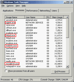 Processes on Windows Task Manager