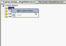 Add new Custom Action on Install