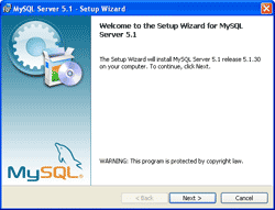 Setup MySQL Server - MySQL Server Installation