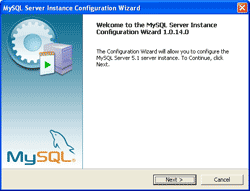 Configure MySQL Server