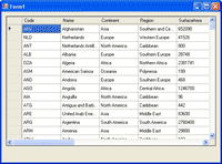 The Query Result on DataGridView