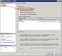 Restore Database Options