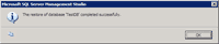 Restore Database Successful