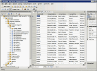 The Exported Tables