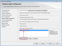 Add SQL Server Administrators