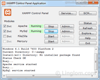 Apache and MySQL services started