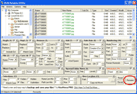 Batch Rename Files