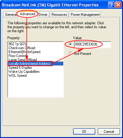 switch mac address learning