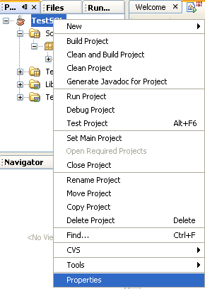 Project's Properties