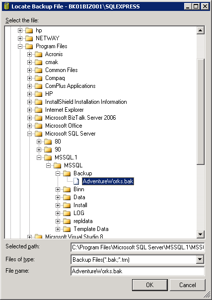 Select the backup file to restore