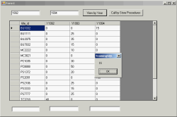 Execute 'test_a' store procedure and result on DataGridView1 with return value