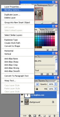 Select Blending Options