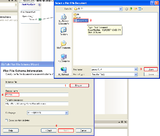 Flat File Schema Information