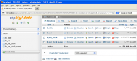 The Imported Tables on phpMyAdmin