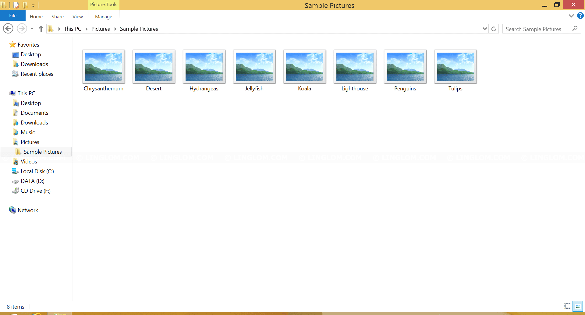 Thumbnail Previews do not show on Windows Explorer - Windows 8.1