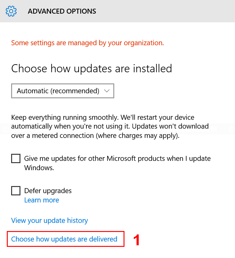 Open Windows update settings
