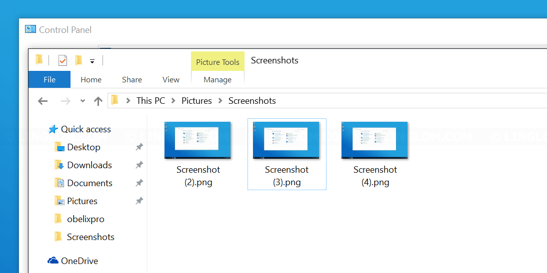 Screenshot files