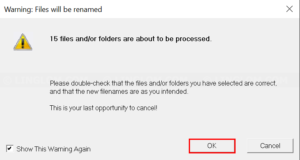 Confirm rename multiple files