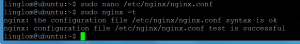 Check nginx syntax