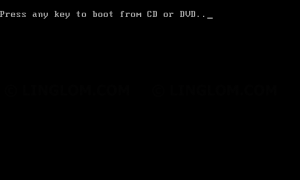 Press any key to boot from DVD