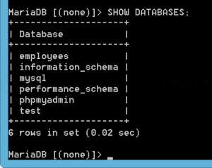 List databases on the MySQL server